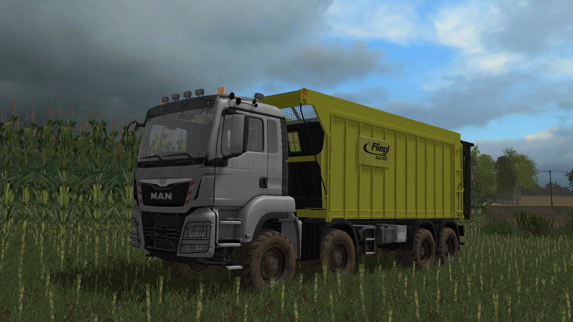 FS 17 man TGS. Ман самосвал для ФС 17. Fs19 man 8x8. Ман самосвал для фс19.