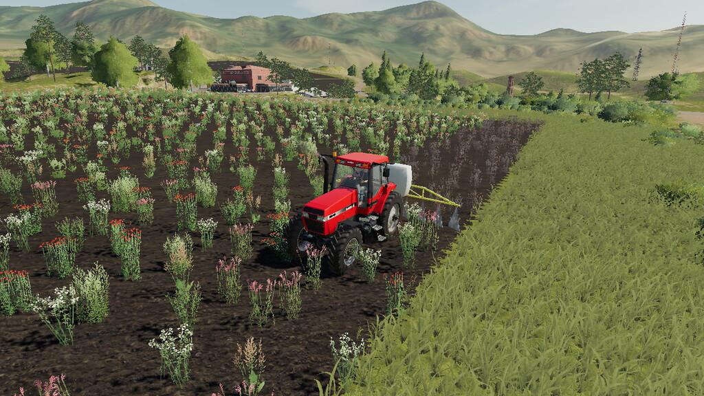 Lizard 200 Sprayer V1000 Mod Farming Simulator 2022 Mod Ls 2022 Mod Fs 22 Mod 4728